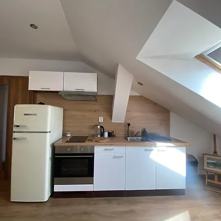 Cerny Tulipan - 6 플젠