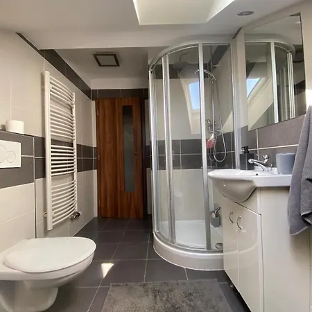 Cerny Tulipan - 6 Пльзень