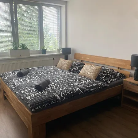 Cerny Tulipan - 6 * 플젠