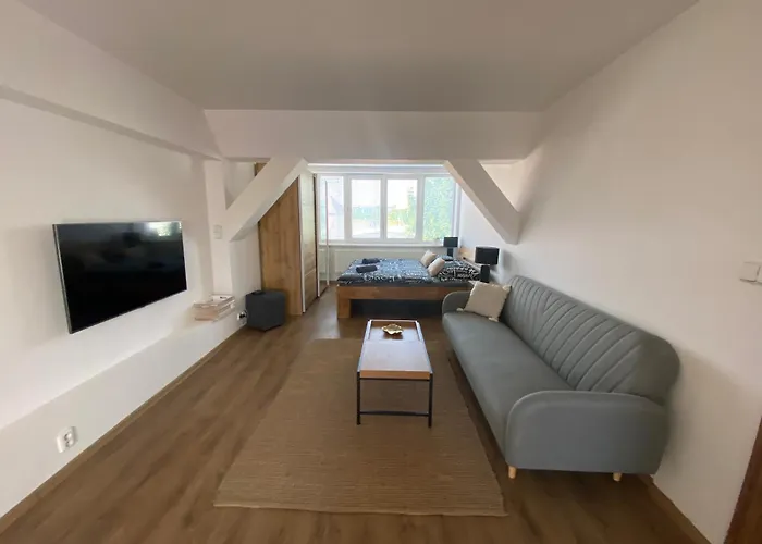 Apartman Cerny Tulipan - 6 Plzeň