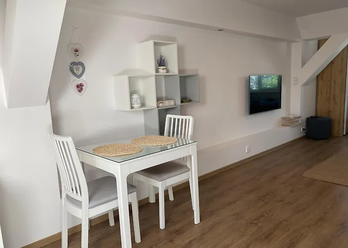 Cerny Tulipan - 6 Apartman Plzeň