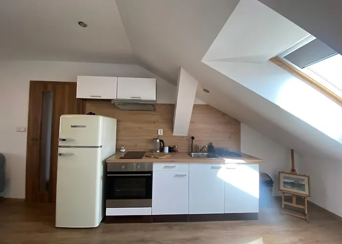 Cerny Tulipan - 6 Plzeň