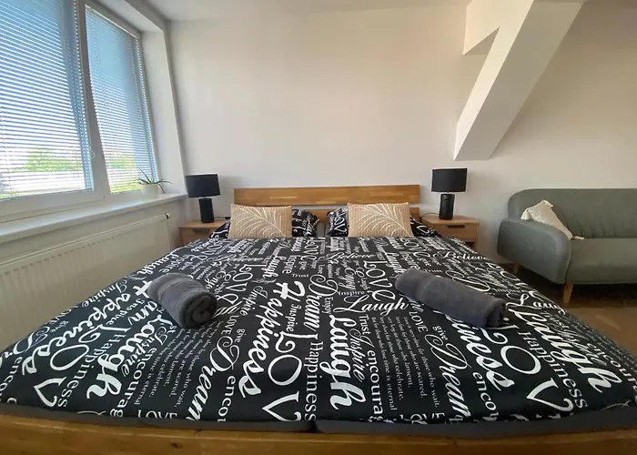 Cerny Tulipan - 6 Apartman Plzeň