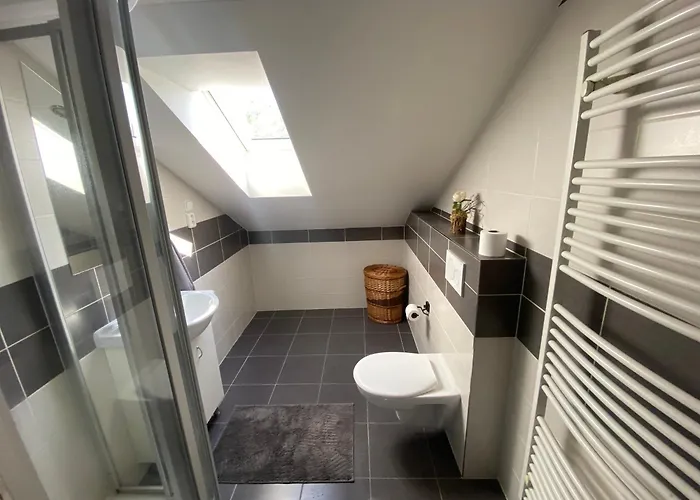 Cerny Tulipan - 6 Apartman Plzeň