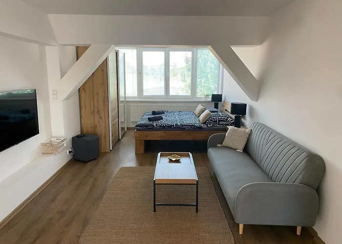 Cerny Tulipan - 6 アパート *