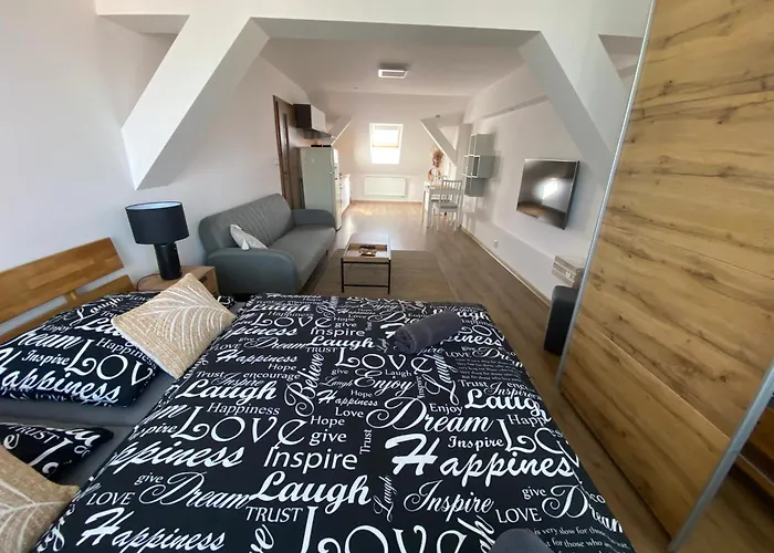 Apartman Cerny Tulipan - 6 Plzeň