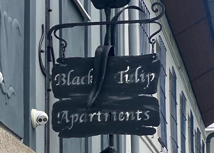 Cerny Tulipan - 6 * Plzeň