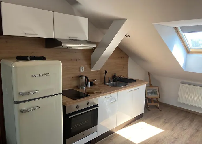 Apartman Cerny Tulipan - 6 Plzeň