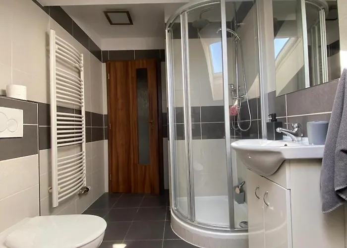 Cerny Tulipan - 6 プルゼニ