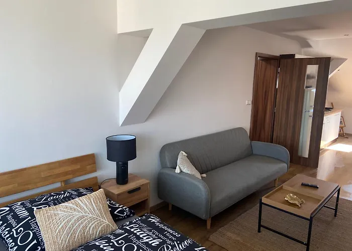 Cerny Tulipan - 6 Plzeň