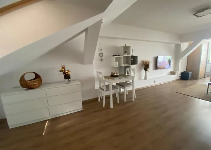 Cerny Tulipan - 6 アパート *