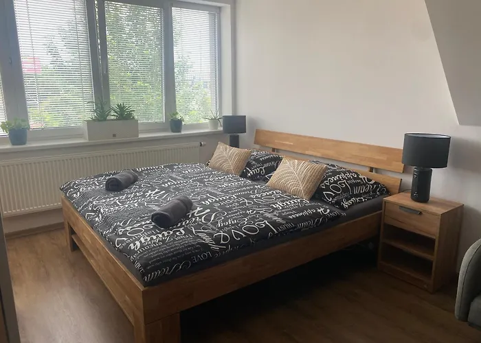 Cerny Tulipan - 6 * Plzeň