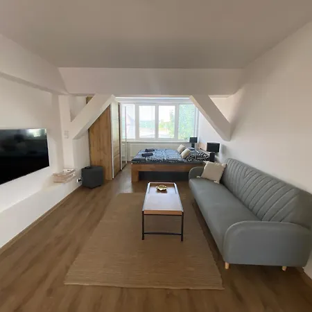 Apartmán černý Tulipán - 6 Plzeň