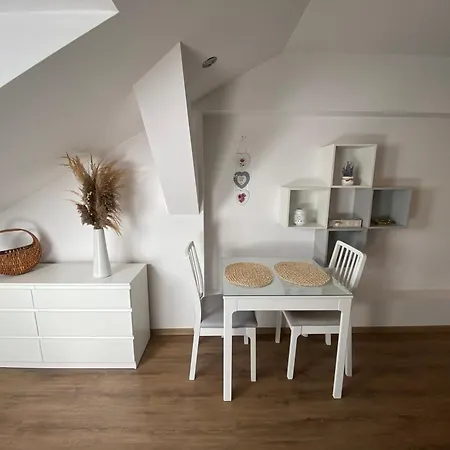 černý Tulipán - 6 Apartmán
