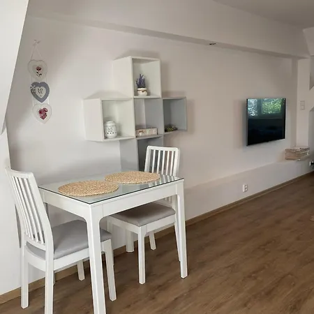 černý Tulipán - 6 Apartmán Plzeň