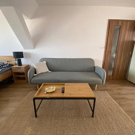 Apartmán černý Tulipán - 6