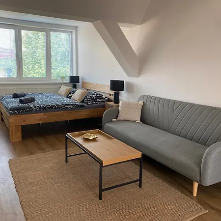 černý Tulipán - 6 *
