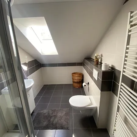 černý Tulipán - 6 Apartmán Plzeň