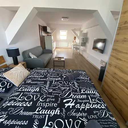 Apartmán černý Tulipán - 6 Plzeň