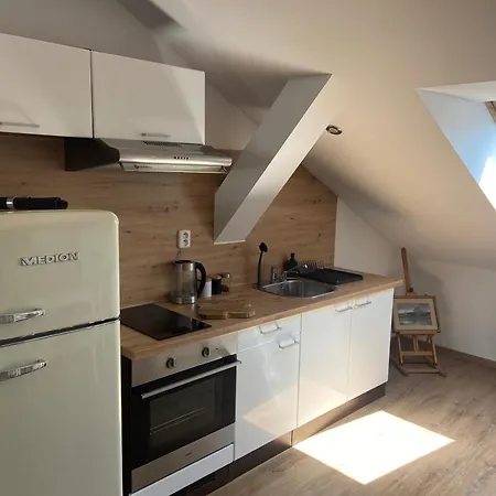 Apartmán černý Tulipán - 6 Plzeň