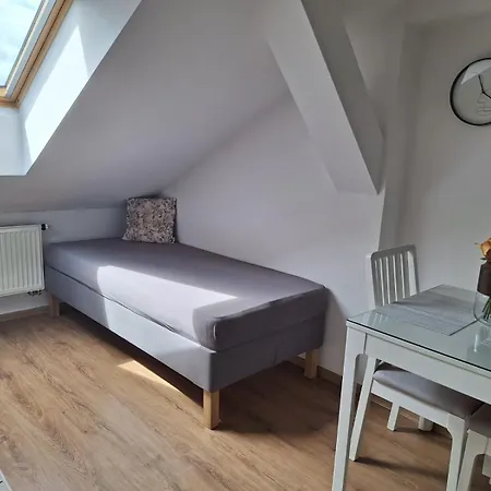Apartmán černý Tulipán - 6 Plzeň